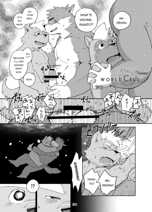 World Cell | World Cell - Day 1