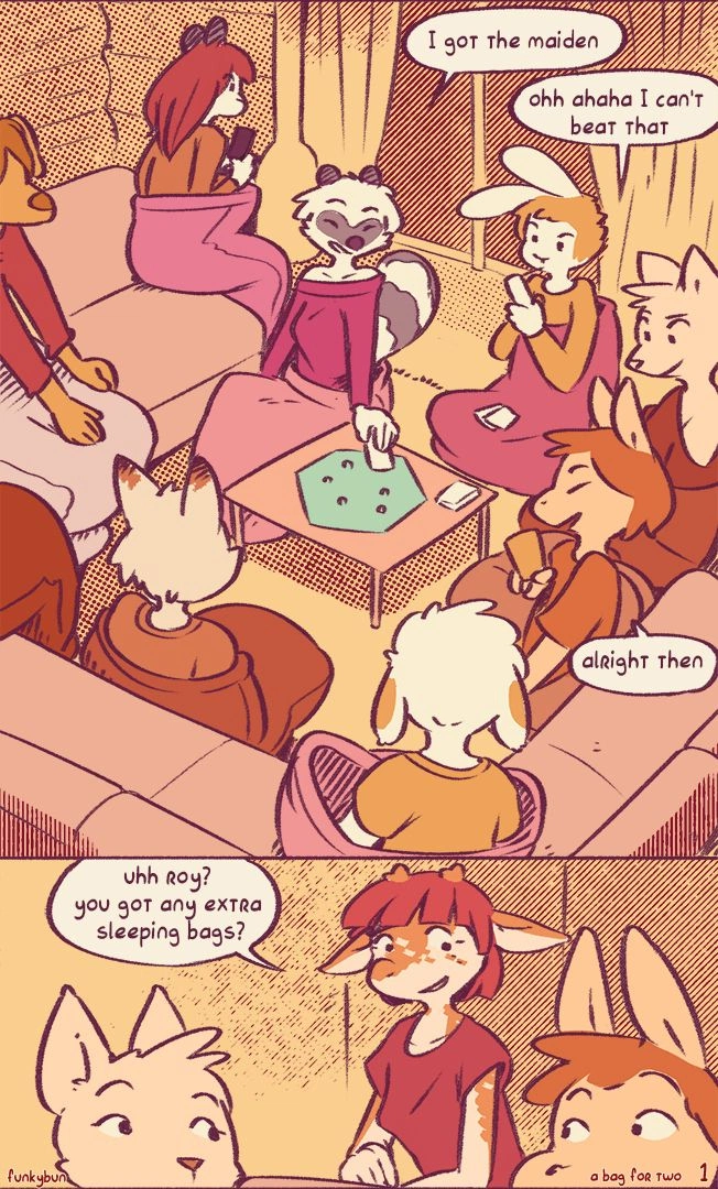 A Bag For Two