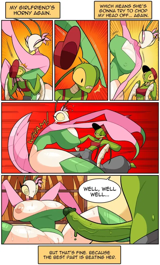Mantis Mating