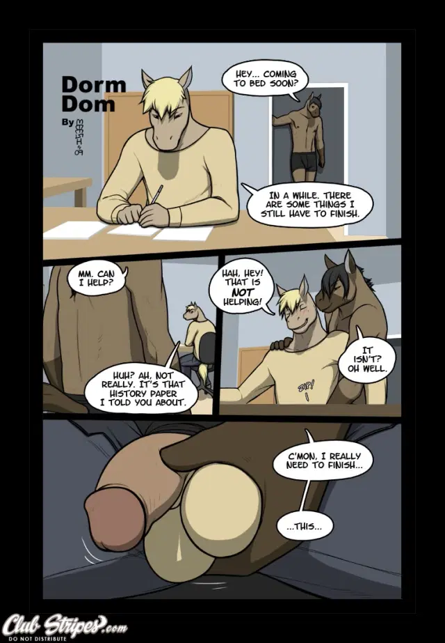 Dorm Dom