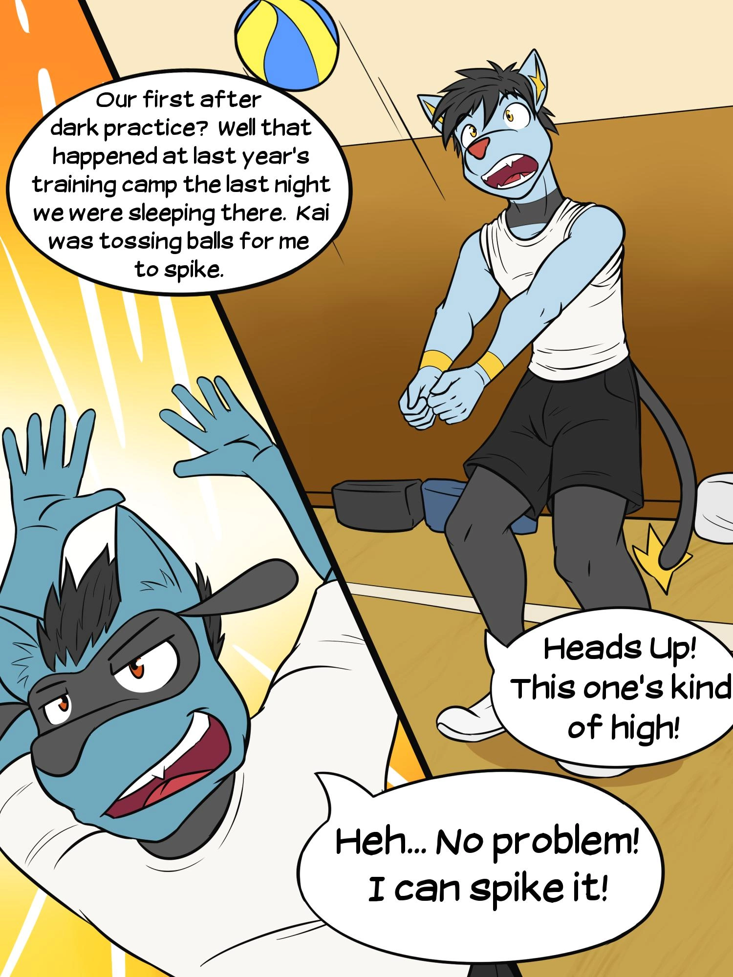 Pokéballers: Penalty Match