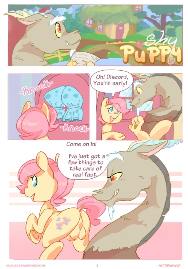 Shy Puppy