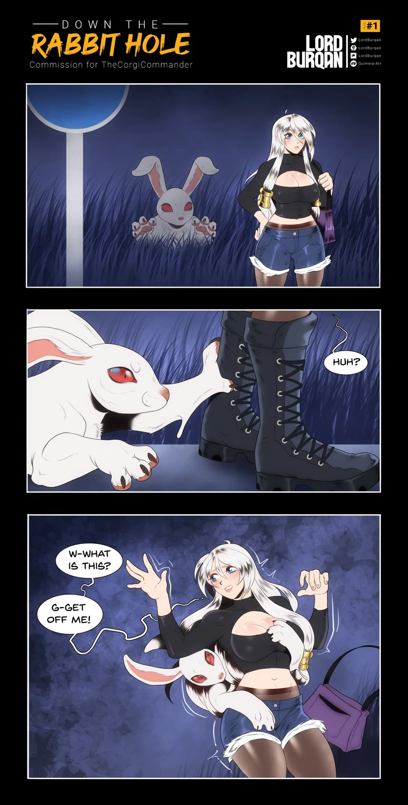 Down the Rabbit Hole
